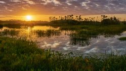 Sunsets are cheap things to do in Orlando Florida as well as many unique things to do in Orlando that are not amusement parks.