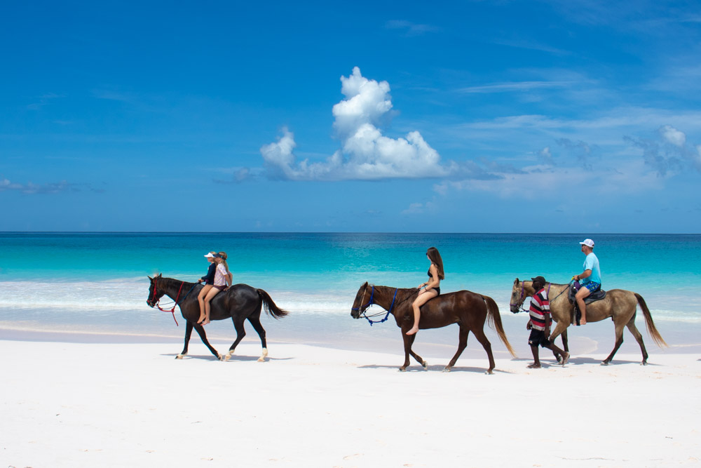 Horse-riding at the Pink Sands Beach Bahamas Harbour Island